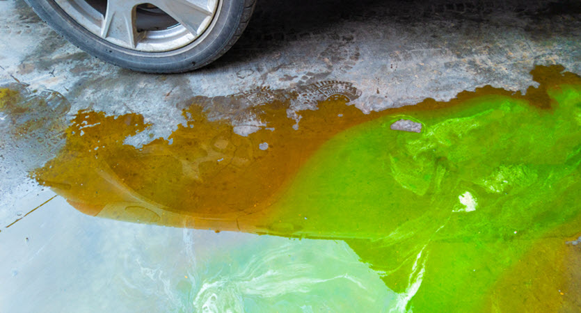 Car Coolant Leak